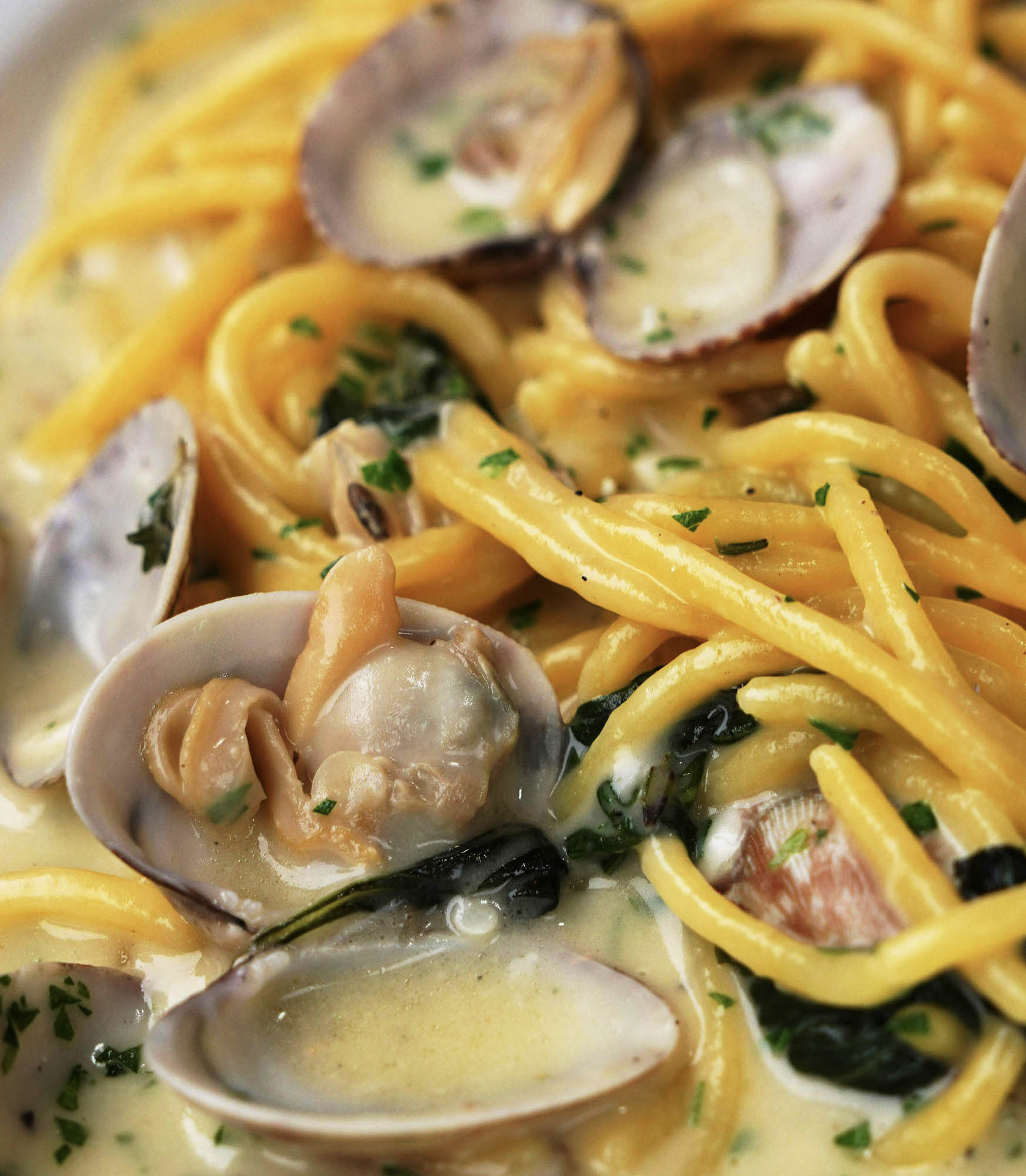 Spaghetti alle Vongole Veraci - lacantinola.it - lacantinola.com - lacantinola.online Roma