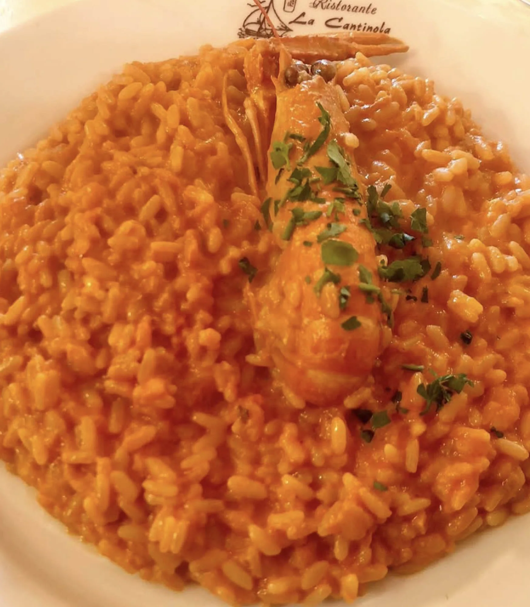 Risotto alla Crema di Scampi - lacantinola.it - lacantinola.com - lacantinola.online Roma 1982